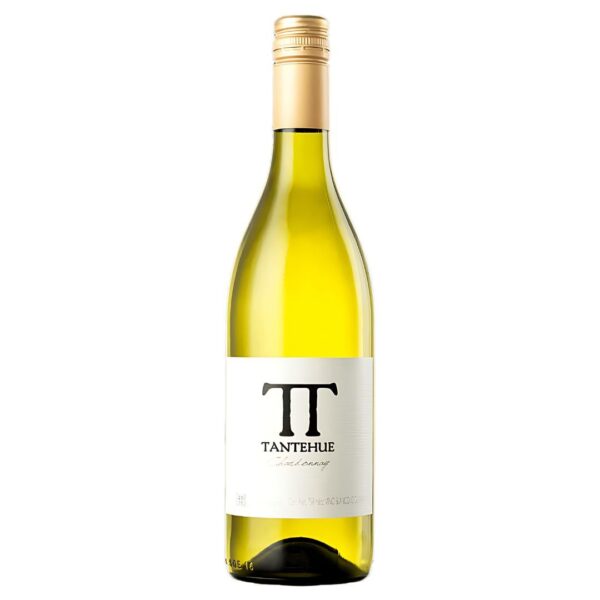 White Wine | Tantehue Chardonnay | Viña Ventisquero