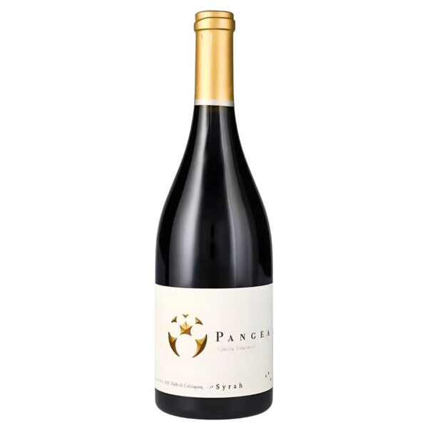 Red Wine | Ventisquero Pangea Syrah Ultra Premium | Viña Ventisquero